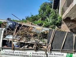 Shed Removal in Palmyra, IN